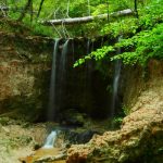 Trip to Clark Creek Natural Area
